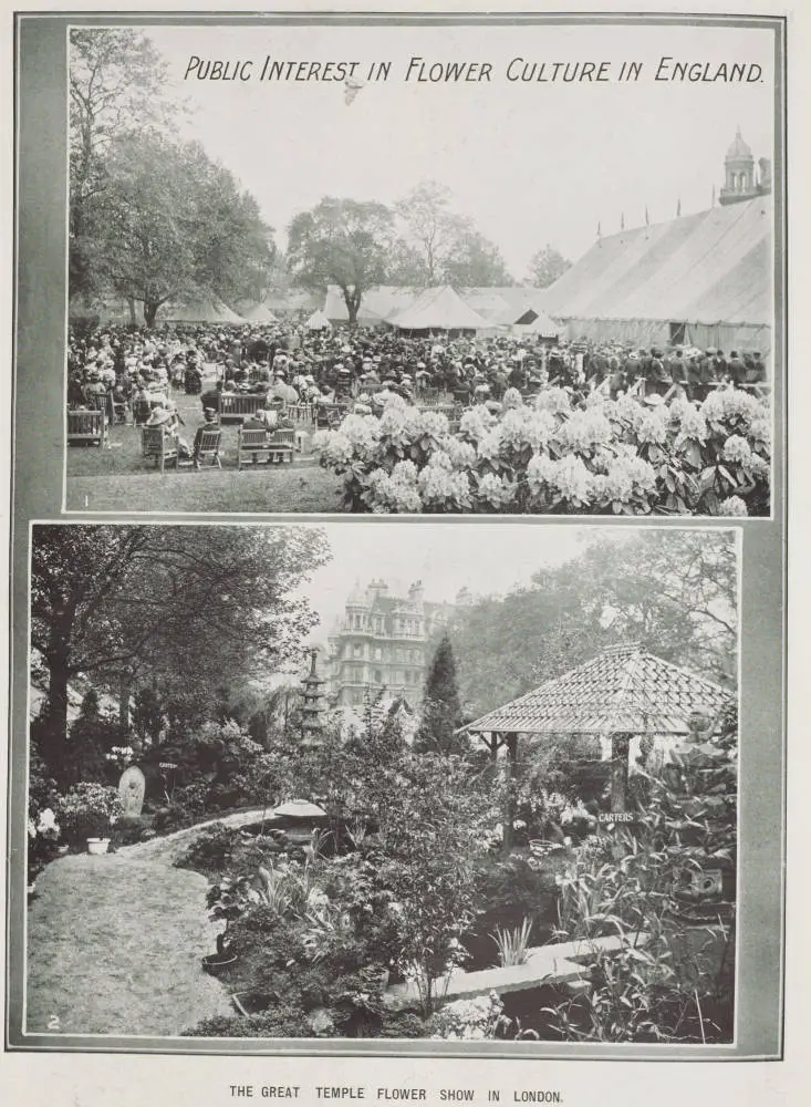 The great Temple flower show in London