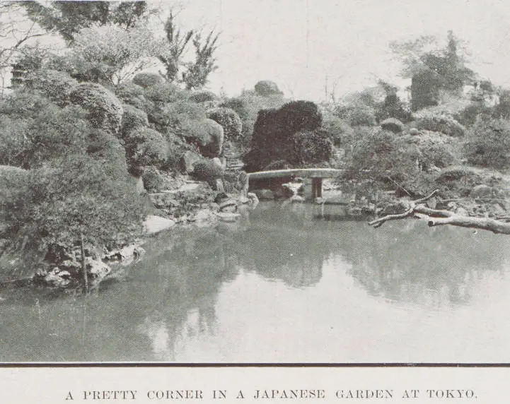 A pretty corner in a Japanese garden at Tokyo