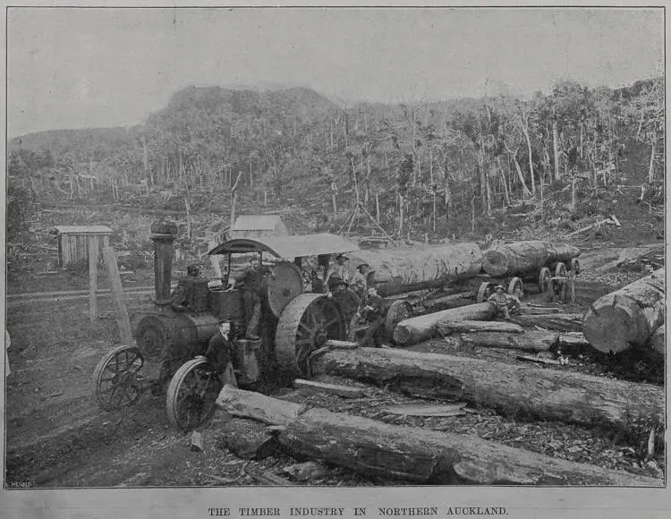The timber industry in Northern Auckland Record DigitalNZ