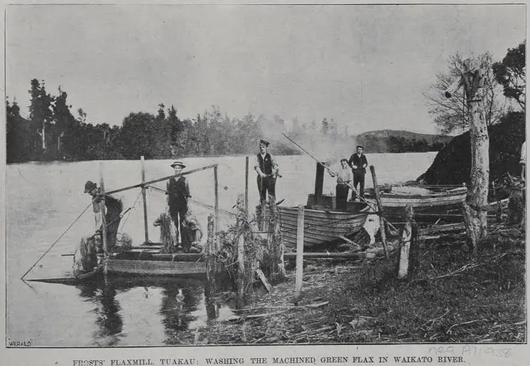 Frosts' Flaxmill, Tuakau: Washing the machined flax in Waikato River ...