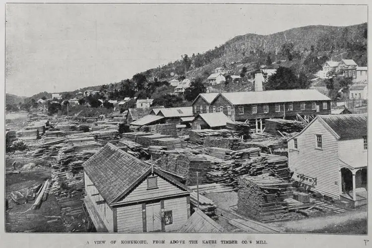 A view of Kohukohu, Hokianga from above Kauri Timber Company's mill