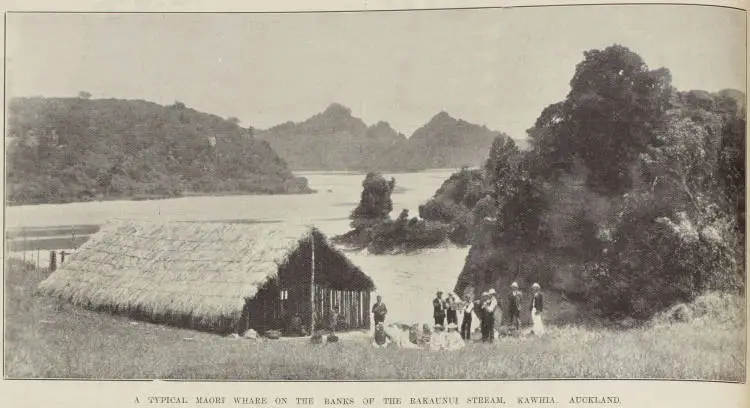 A typical Māori whare on the banks of the Rakaunui Stream, Kawhia ...