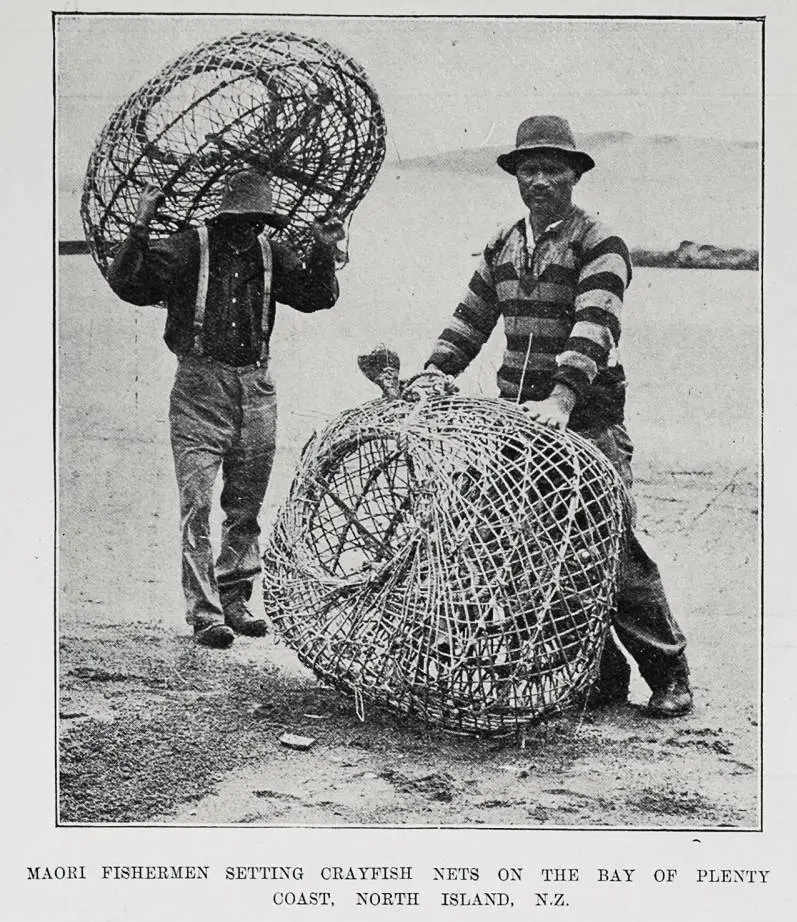 Māori Fishermen Setting Crayfish Nets On The Bay Of Plenty Coast