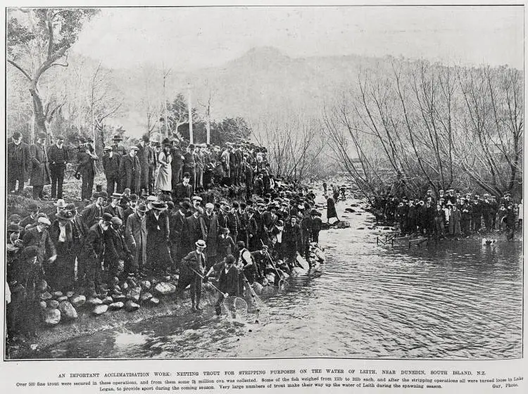 An Important Acclimatisation Work