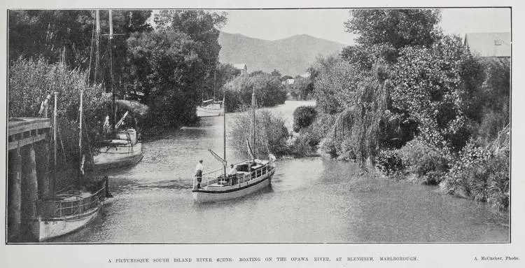 A picturesque South Island River scene