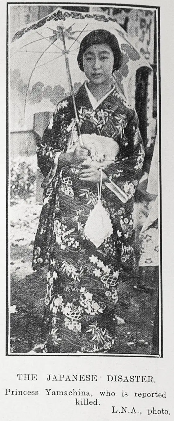 The Japanese Disaster