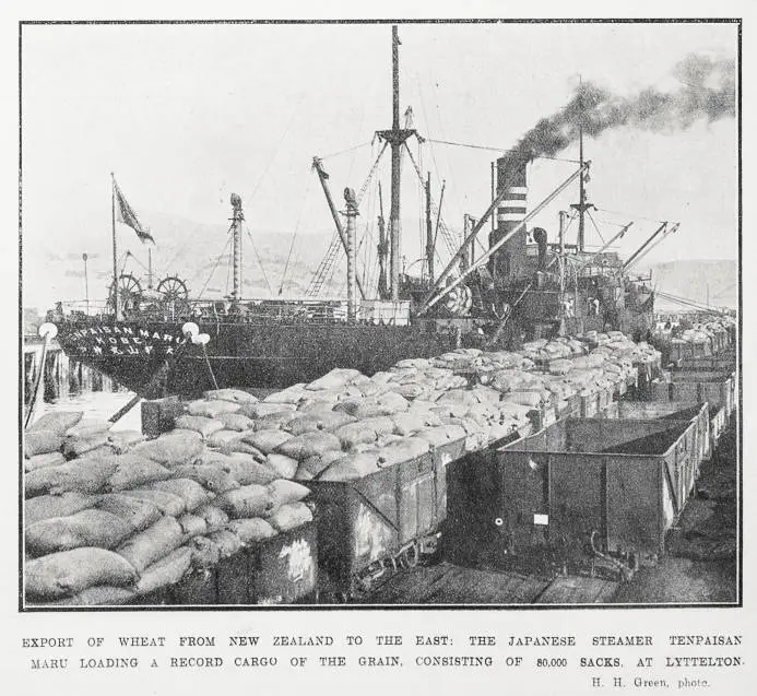 Export of wheat from New Zealand to the East: the Japanese steamer Tenpaisan Maru at Lyttelton