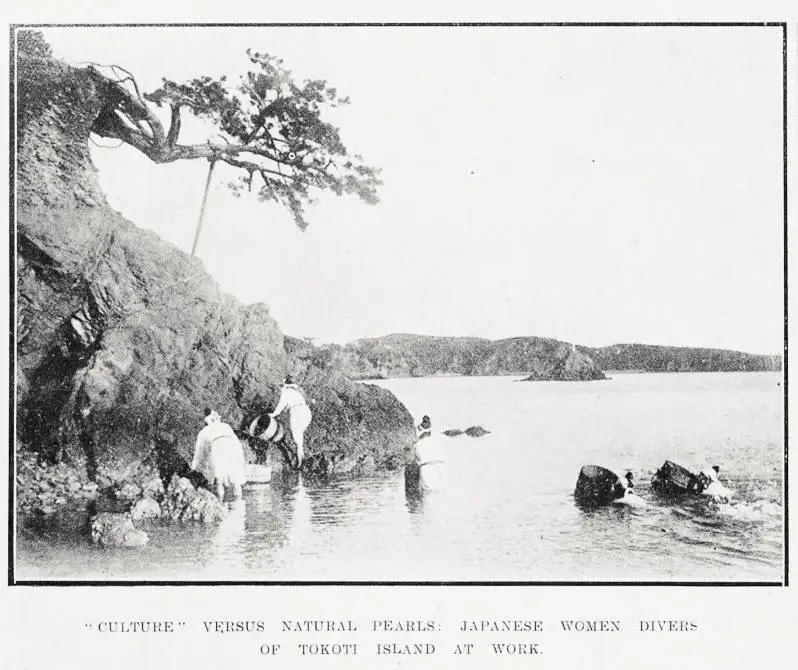 'Culture' versus natural pearls: Japanese women divers of Tokoti Island at work