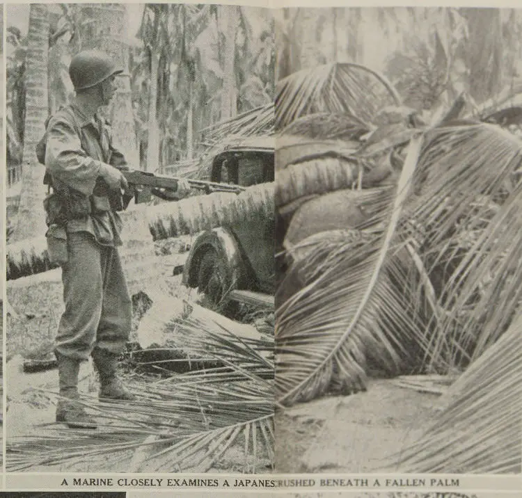 A marine closely examines a Japanese car crushed beneath a fallen palm