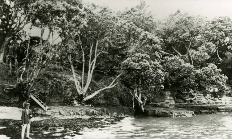 Winstone's Cove, Torbay.