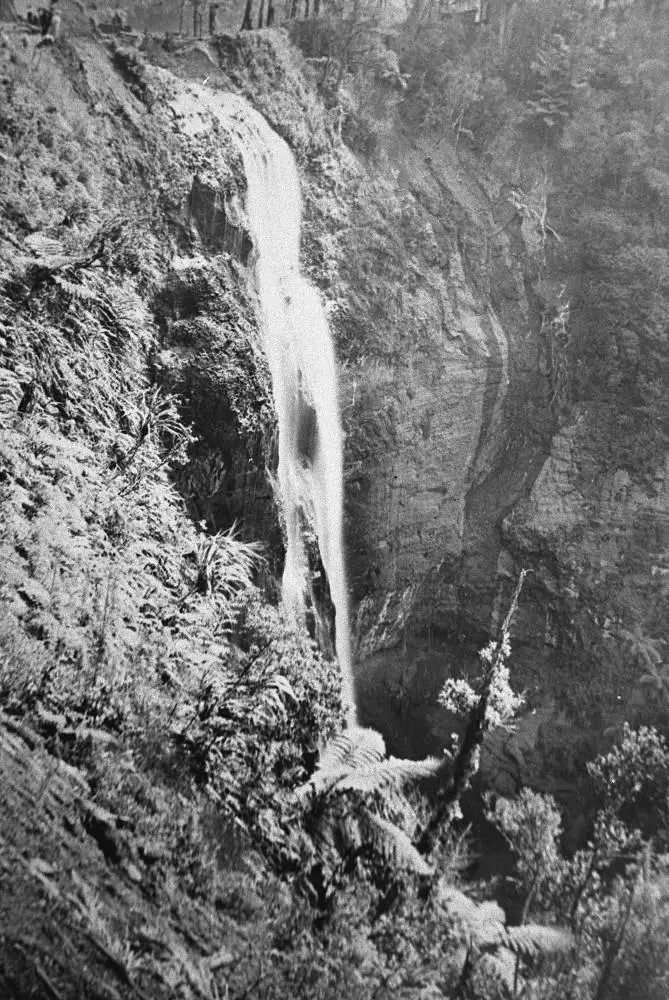 Waitakere Falls, Cascade Kauri Park. | Record | DigitalNZ