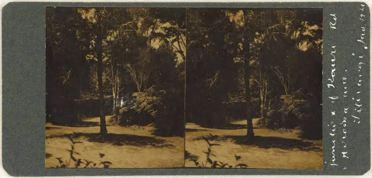 Kauri Road and Horoeka Avenue, Titirangi, 1920