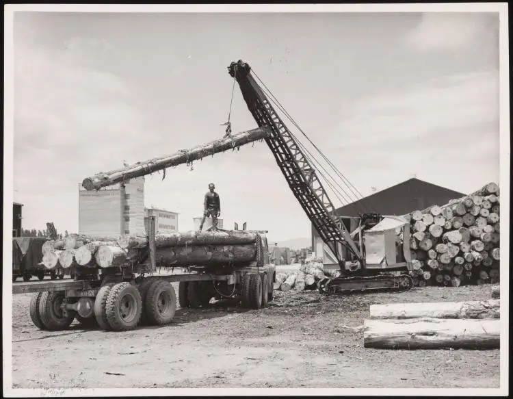 Mount Maunganui wharf