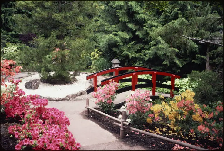 Japanese garden
