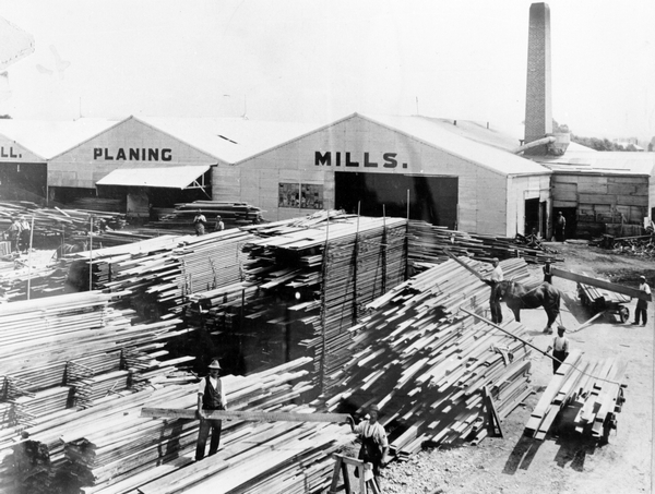 C.E. Daniell Ltd timber yard | Record | DigitalNZ