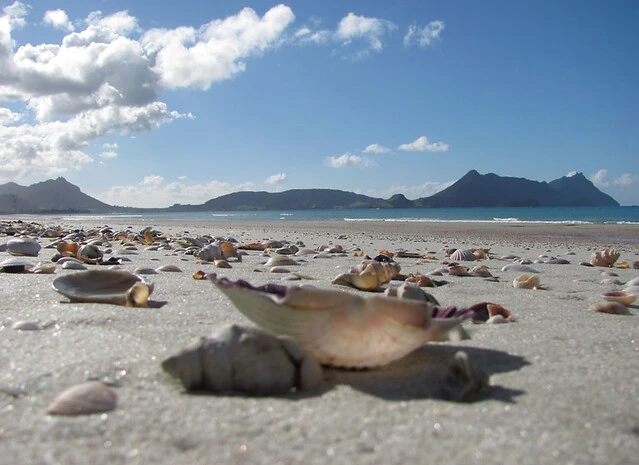 Ruakaka Beach