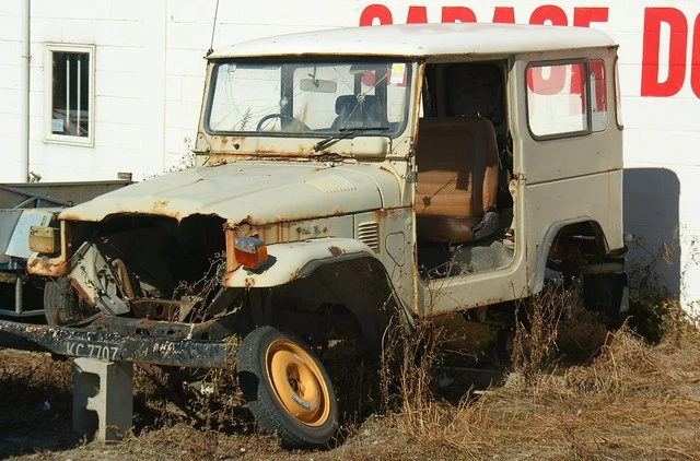 Oamaru: lazy Land Cruiser