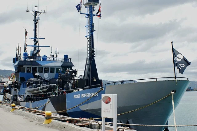 Wellington Harbour: "Bob Barker" (1)