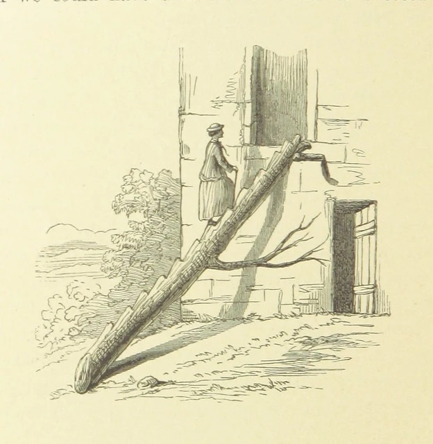 British Library digitised image from page 194 of "The Antipodes and round the World; or, Travels in Australia, New Zealand, Ceylon, China, Japan, and California. With ... illustrations"