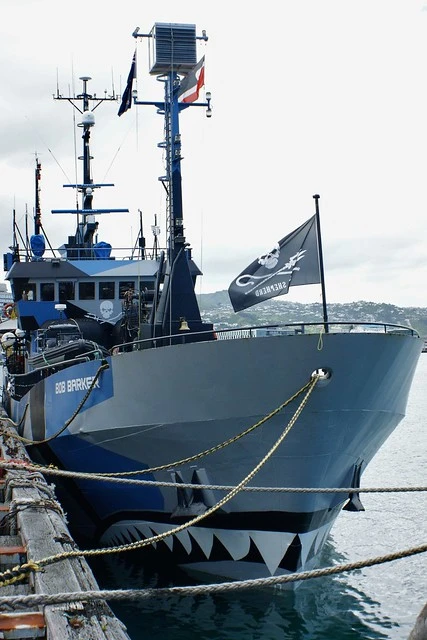 Wellington Harbour: "Bob Barker" (3)