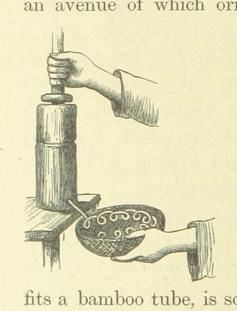 British Library digitised image from page 300 of "The Antipodes and round the World; or, Travels in Australia, New Zealand, Ceylon, China, Japan, and California. With ... illustrations"