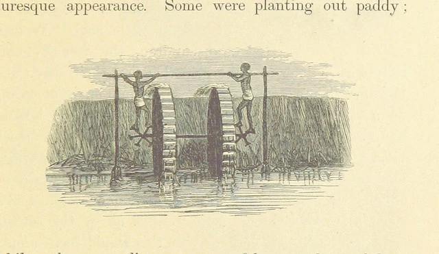 British Library digitised image from page 277 of "The Antipodes and round the World; or, Travels in Australia, New Zealand, Ceylon, China, Japan, and California. With ... illustrations"
