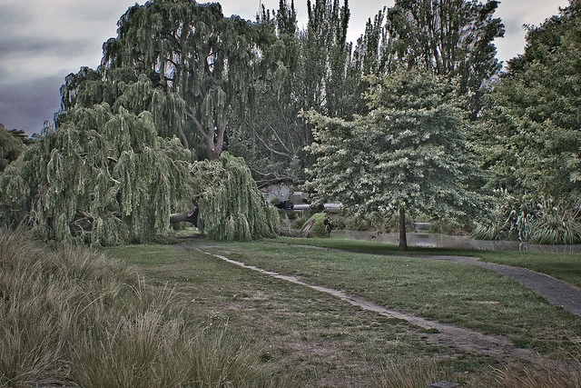 Christchurch Earthquake 011