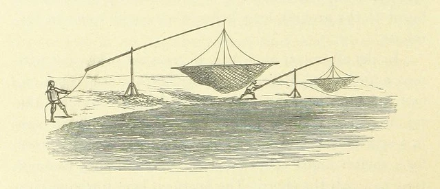 British Library digitised image from page 310 of "The Antipodes and round the World; or, Travels in Australia, New Zealand, Ceylon, China, Japan, and California. With ... illustrations"