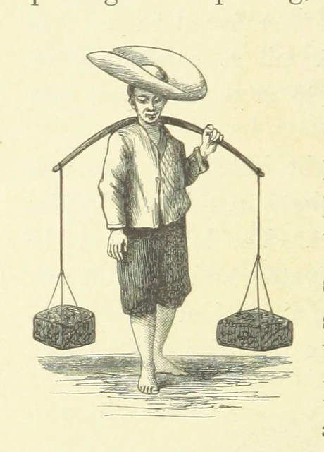 British Library digitised image from page 278 of "The Antipodes and round the World; or, Travels in Australia, New Zealand, Ceylon, China, Japan, and California. With ... illustrations"