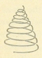 British Library digitised image from page 301 of "The Antipodes and round the World; or, Travels in Australia, New Zealand, Ceylon, China, Japan, and California. With ... illustrations"