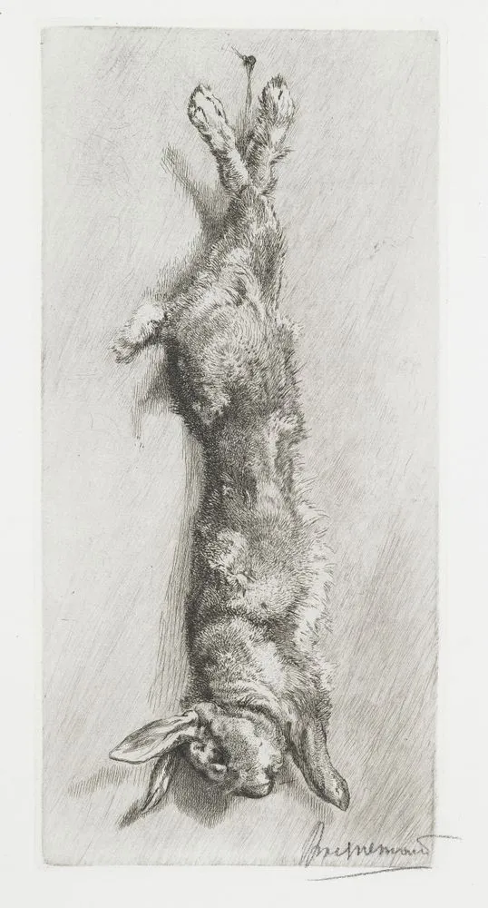 Le lapin de garenne (The wild rabbit).