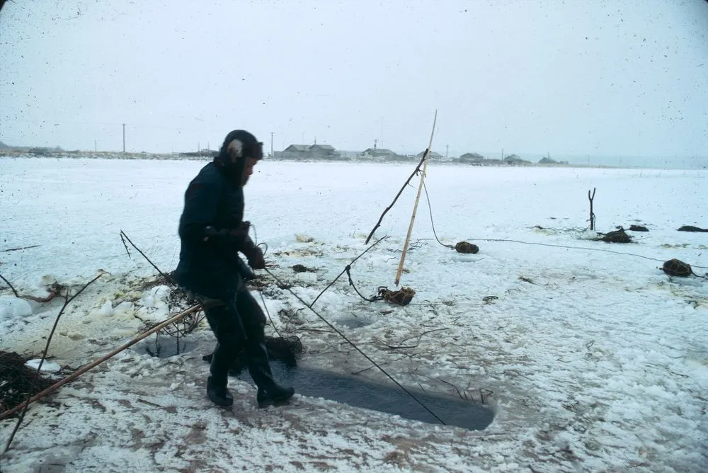 Japan Series: Hokkaido