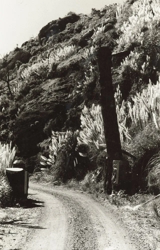 Road block on Piha Hill