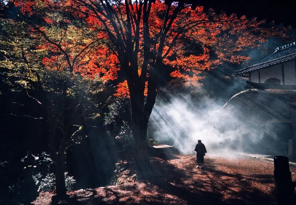 Japan Series: Kokedera Saihoji Garden