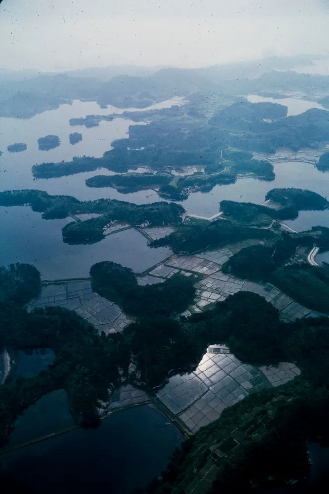 Japan Series: Landscape