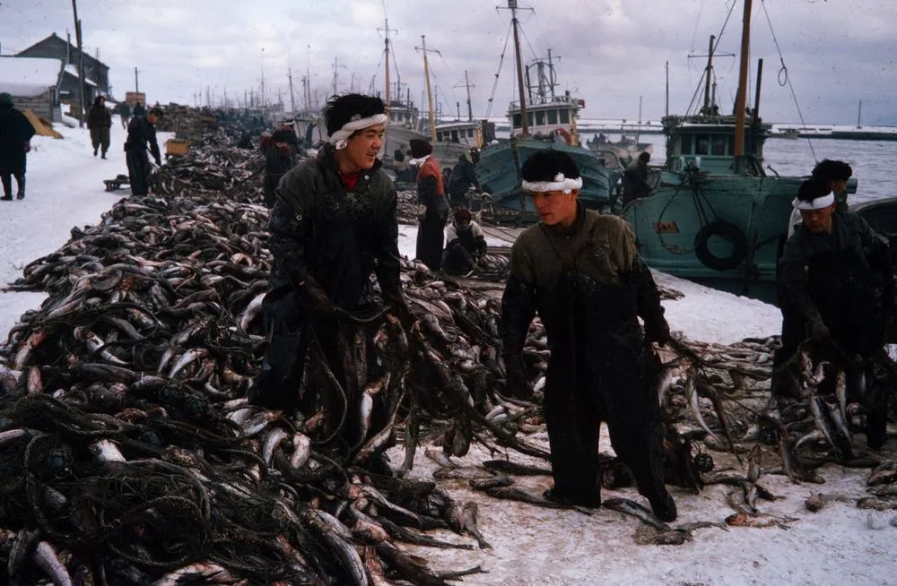 Japan Series: Hokkaido