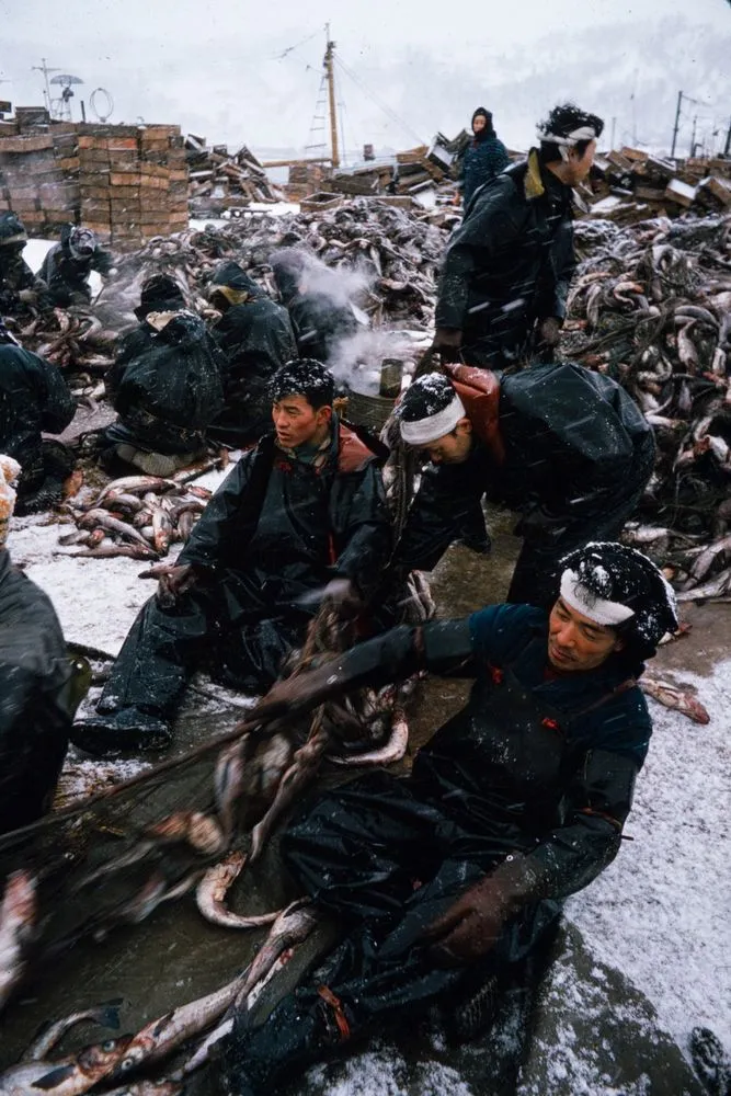 Japan Series: Hokkaido