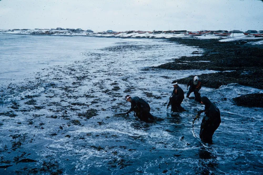 Japan Series: Hokkaido