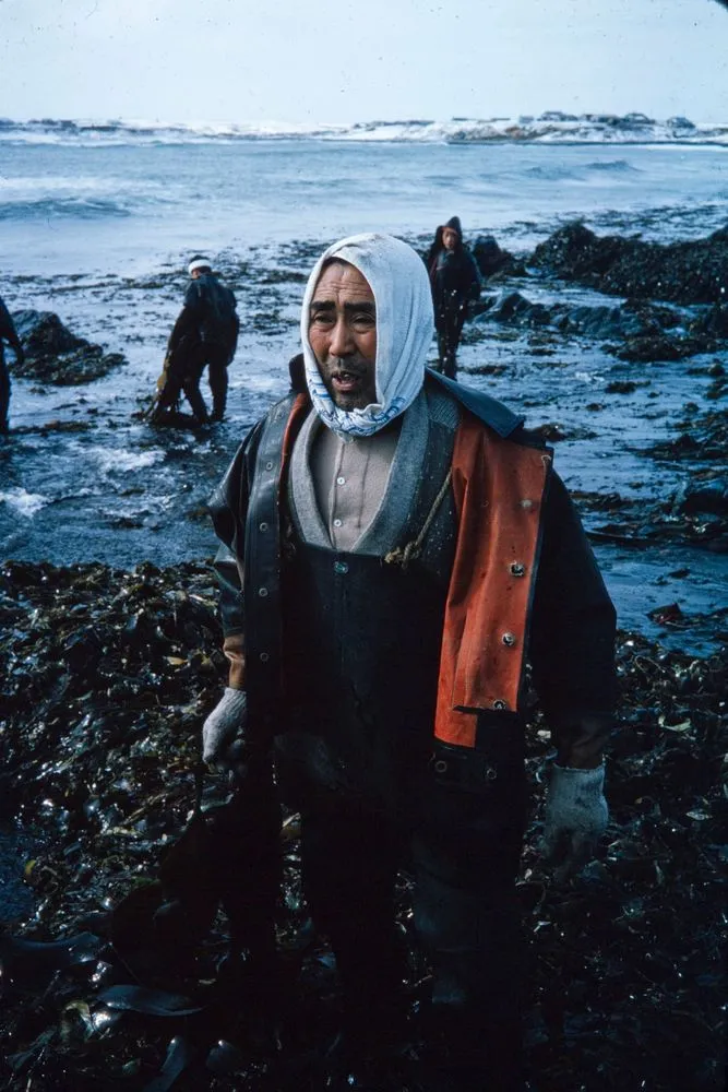 Japan Series: Nemuro