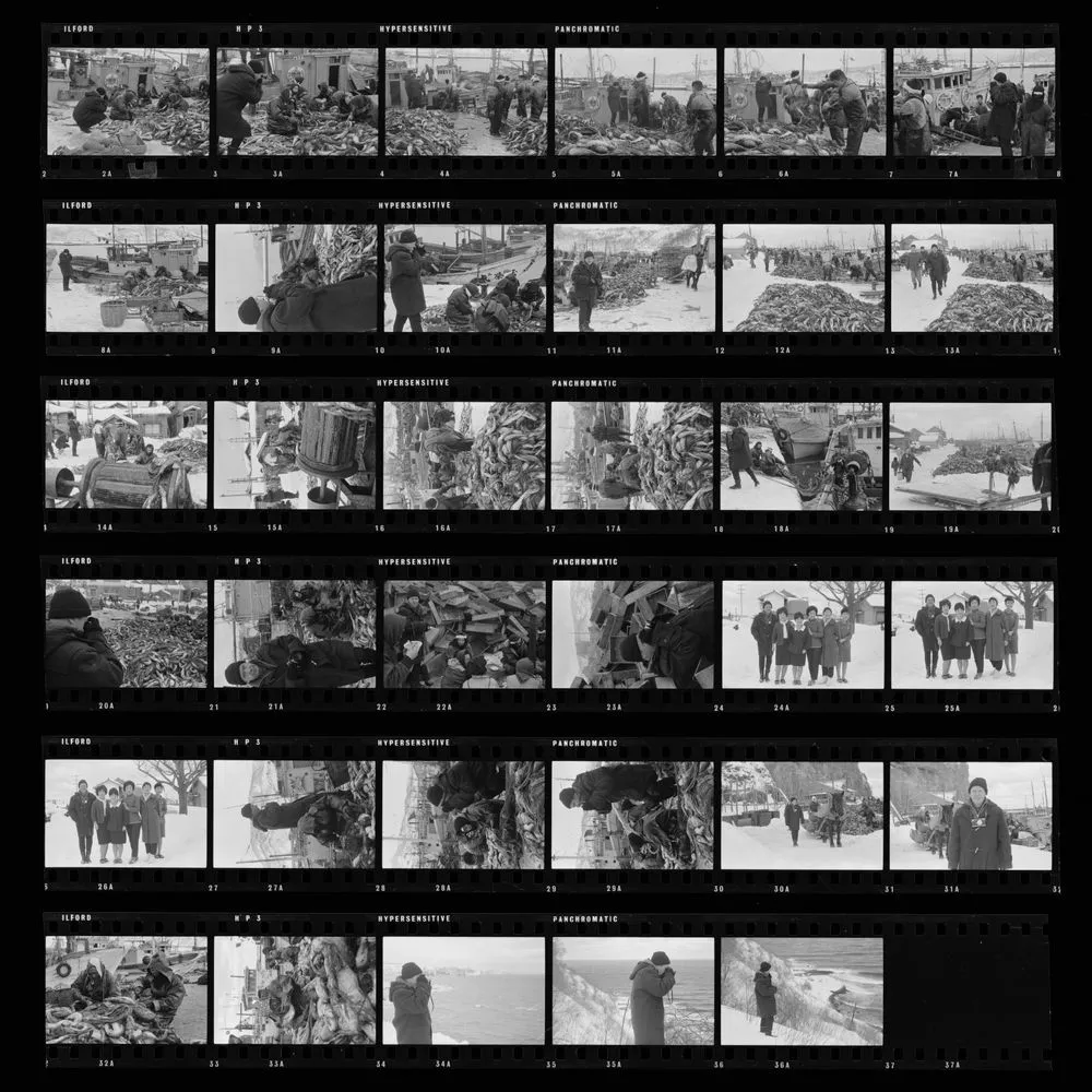 [Commercial fishing, Hokkaido] (from a series on Japan)