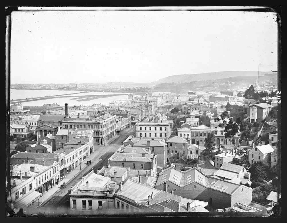 Dunedin Panorama Record Digitalnz