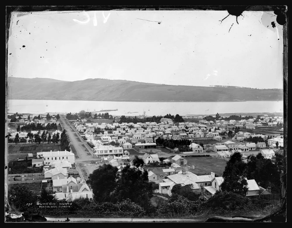 Dunedin North