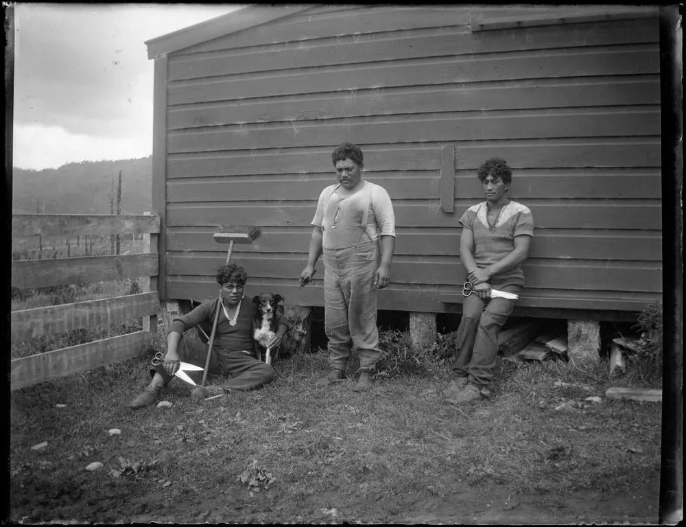 Māori shearers, Pio, Murray, Pat Hunia Record DigitalNZ