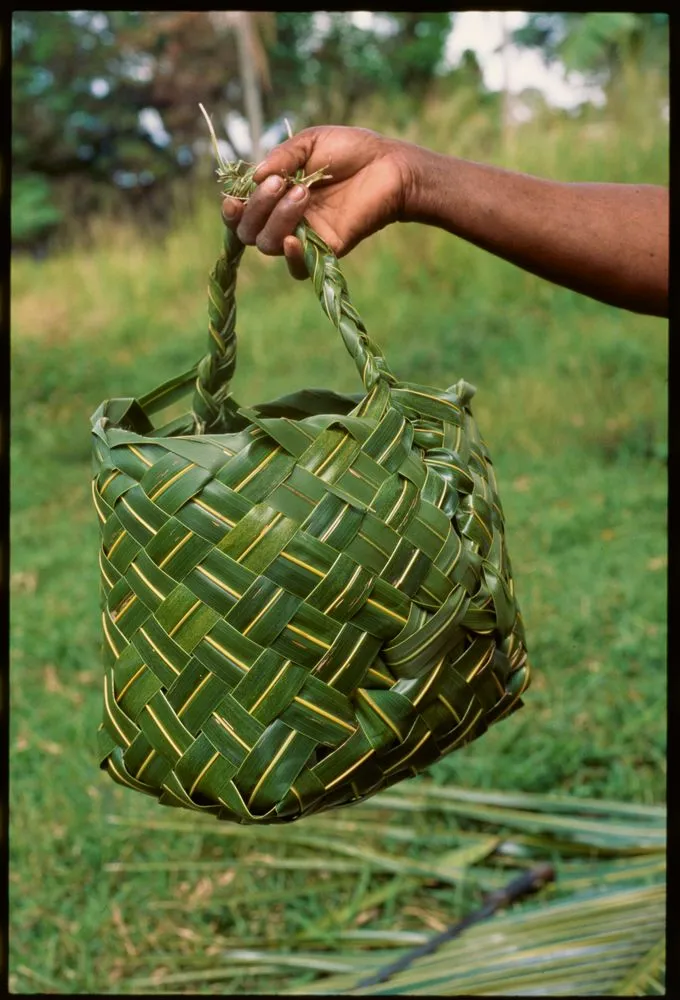 Palm 2025 leaf bag