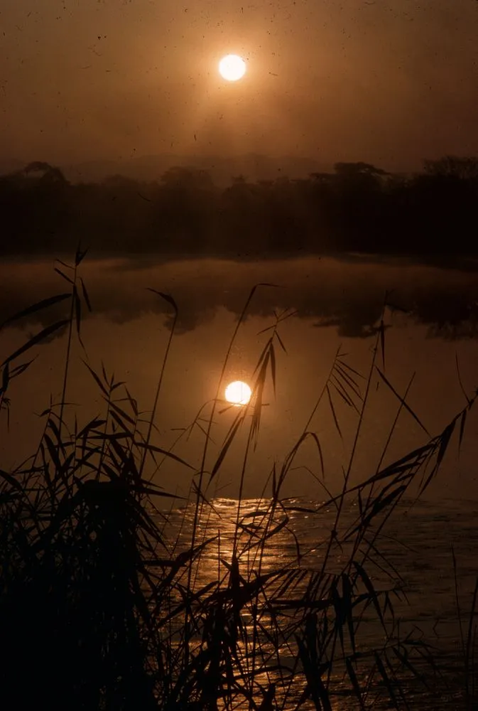 Japan series: Hirosawaike pond