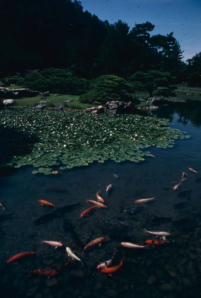 Japan series: Ritsurin Park