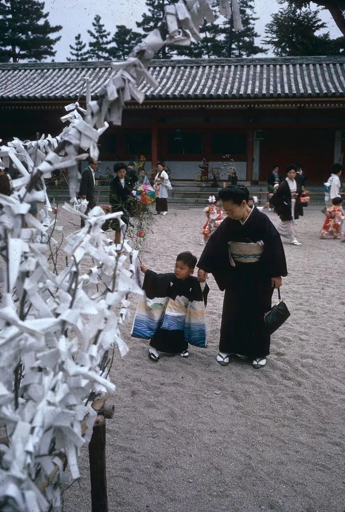 Japan series: Shichigosan Festival