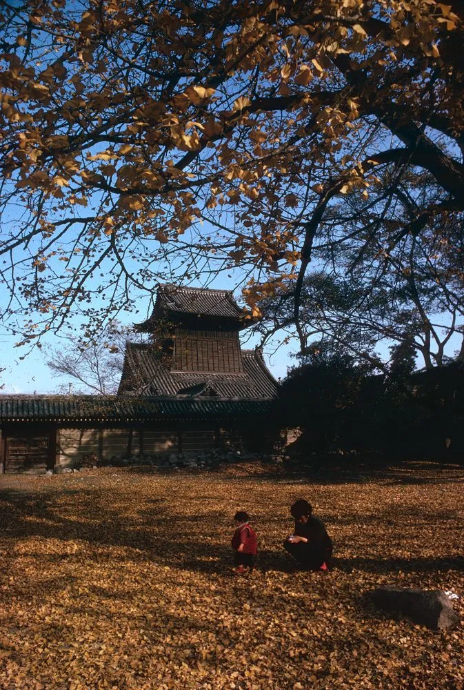 Japan series: Nishi Hongan-ji