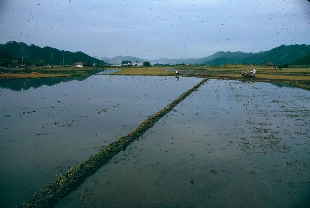 Japan series: landscape