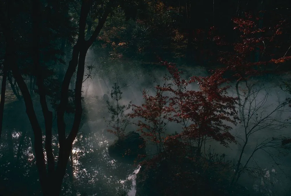 Japan series: Kokedera